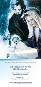 Pope Francis prayer for families