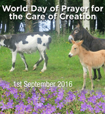 World Day of Creation