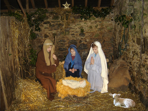 Family Crib Winner